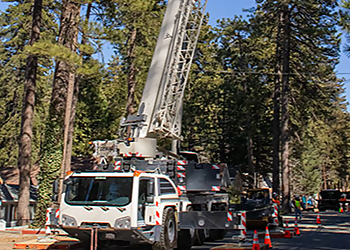 San Bernardino Tree Services Mowbray Tree Services