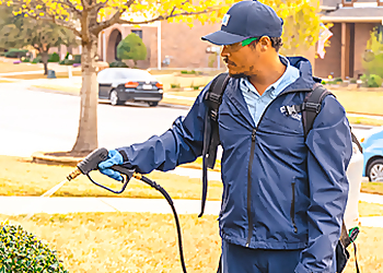 Chicago Pest Control Companies Moxie Pest Control