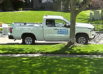 Moxie Pest Control Cleveland Pest Control Companies image 1