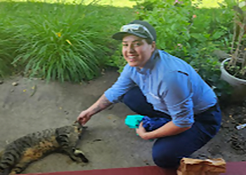 Minneapolis Pest Control Companies Moxie Pest Control