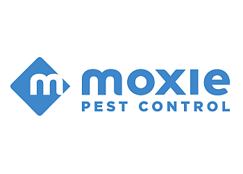 3 Best Pest Control Companies in Nashville, TN - Expert Recommendations
