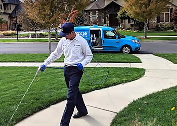 Phoenix Pest Control Companies Moxie Pest Control