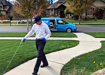 Dallas Pest Control Companies Moxie Pest Control Dallas