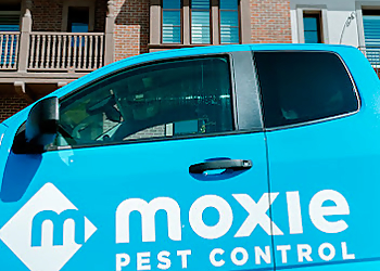 Moxie Pest Control Dallas  Dallas Pest Control Companies image 1