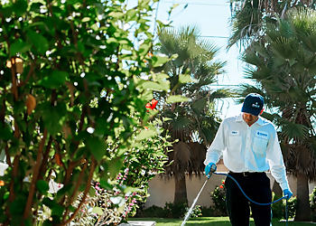 Irvine Pest Control Companies Moxie Pest Control Irvine