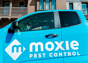 Moxie Pest Control Philadelphia  Philadelphia Pest Control Companies image 1
