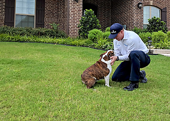 Raleigh Pest Control Companies Moxie Pest Control Raleigh