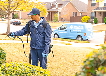 Tucson Pest Control Companies Moxie Pest Control Tucson