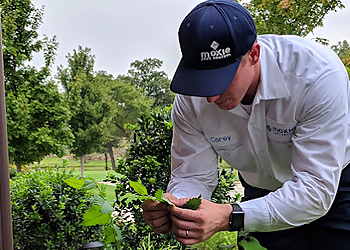 Tucson Pest Control Companies Moxie Pest Control Tucson