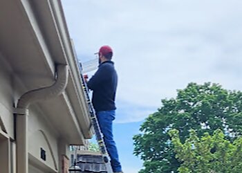 Chicago Animal Removal Mr. Critter