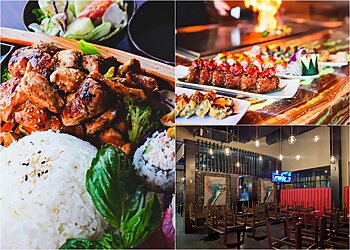 Arlington Japanese Restaurants Mr. Hibachi