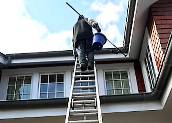 Chesapeake Window Cleaners Mr. Sparkle 757