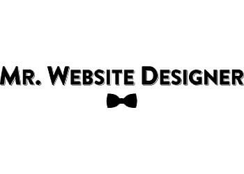Mr. Website Designer Plano Web Designers