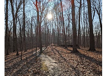 Cincinnati Hiking Trails Mt. Airy Forest