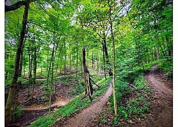 Cincinnati Hiking Trails Mt. Airy Forest
