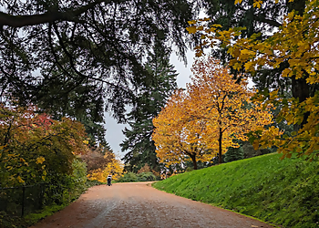 Portland Hiking Trails Mt Tabor Park