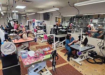 Tulsa Pet Grooming Muddy Paws