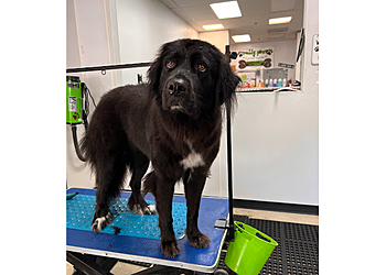 Vancouver Pet Grooming Muddy Paws DIY Dog Wash