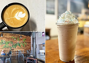 Springfield Cafe Mudhouse Coffee