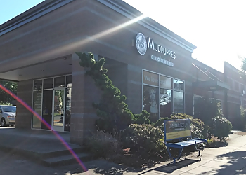 Mudpuppies Grooming On Lombard Portland Pet Grooming image 1