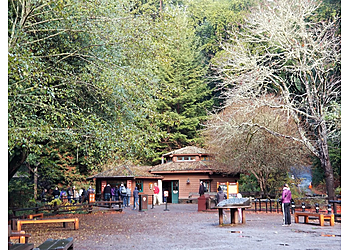 San Francisco Hiking Trails Muir Woods National Monument