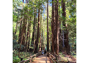San Francisco Hiking Trails Muir Woods National Monument