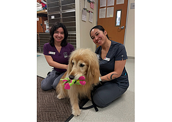 Walnut Creek Veterinary Clinics Muller Veterinary Hospital