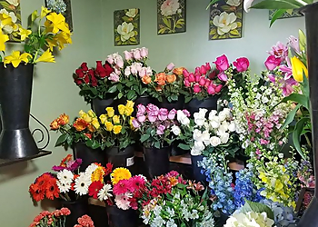 Fullerton Florists Mums The Word