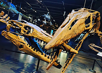 Overland Park Places To See Museum at Prairiefire