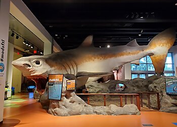 Fort Lauderdale Places To See Museum of Discovery and Science