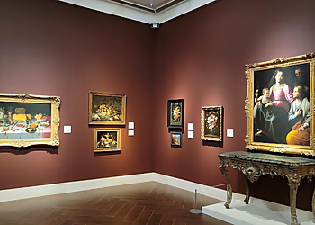 St Petersburg Landmarks Museum of Fine Arts