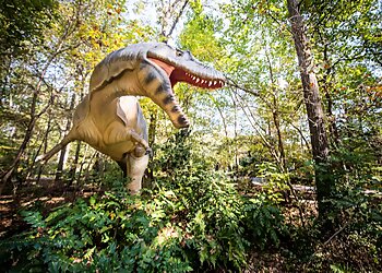 Durham Places To See Museum of Life and Science