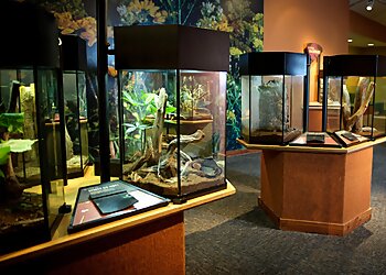 Durham Places To See Museum of Life and Science