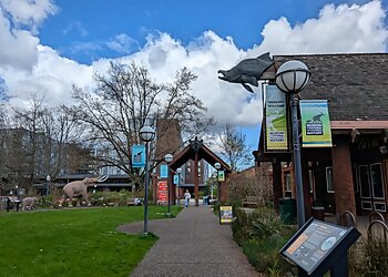 Museum of Natural and Cultural History Eugene Places To See