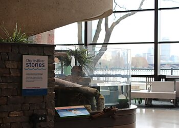 Boston Places To See Museum of Science