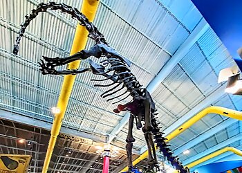 Tampa Places To See Museum of Science & Industry