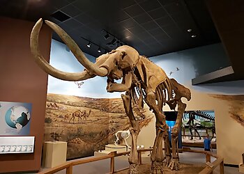 Lubbock Landmarks Museum of Texas Tech University
