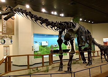 Lubbock Landmarks Museum of Texas Tech University