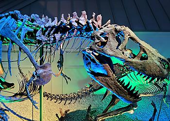 Wichita Landmarks Museum of World Treasures