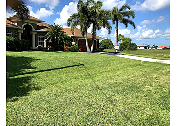 Cape Coral Lawn Care Services My Buddy Lawn Service