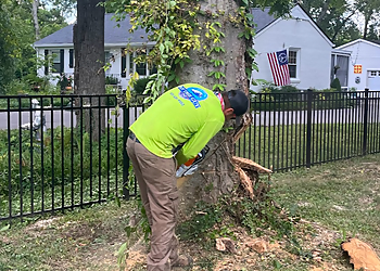 Nashville Tree Services My Tree Guy