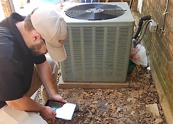 Arlington Pest Control Companies Myles Pest Services