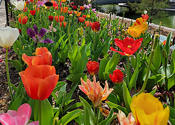 Oklahoma City Places To See Myriad Botanical Gardens