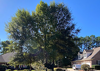 Fayetteville Tree Services NBC Tree Service