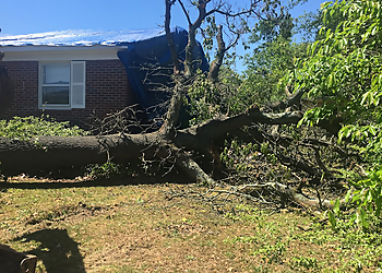 Fayetteville Tree Services NBC Tree Service