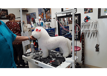 Amarillo Pet Grooming Need Us Bark Us Dog Salon & Spa