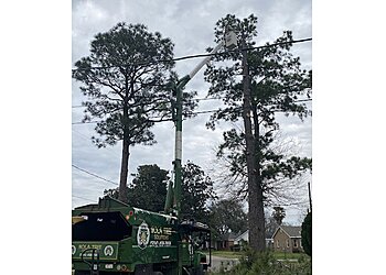 New Orleans Tree Services NOLA Tree Solutions