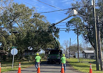 New Orleans Tree Services NOLA Tree Solutions