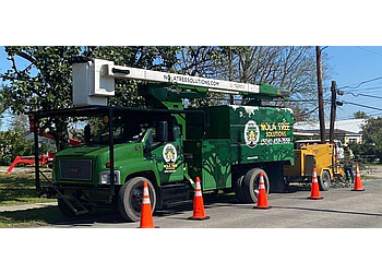NOLA Tree Solutions New Orleans Tree Services