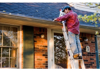 3 Best Animal Removal in New York City, NY - ThreeBestRated